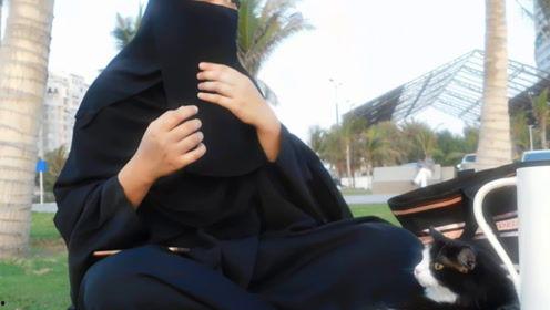 娱乐吃瓜君说七七视频,揭秘娱乐圈幕后故事，娱乐吃瓜君带你一探究竟